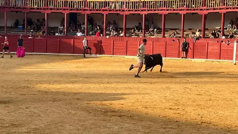 Fuente del Vino Toro _24