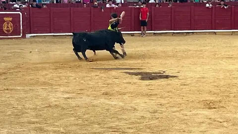 Fuente del Vino Toro _26