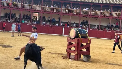 Fuente del Vino Toro _25