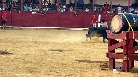 Fuente del Vino Toro _27