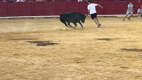 Fuente del Vino Toro _28