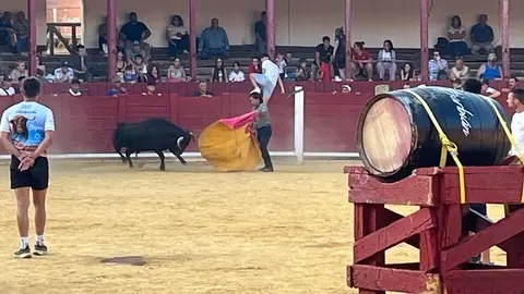 Fuente del Vino Toro _31