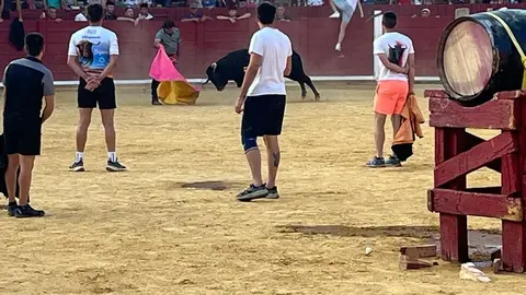 Fuente del Vino Toro _32