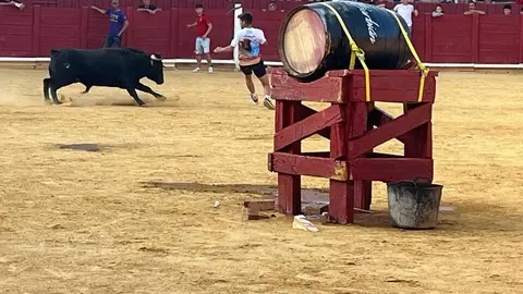 Fuente del Vino Toro _33