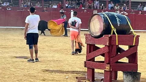 Fuente del Vino Toro _34