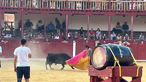 Fuente del Vino Toro _35