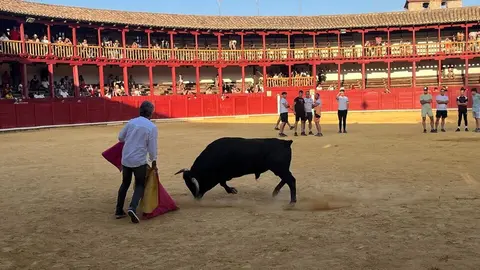 Fuente del Vino Toro _36