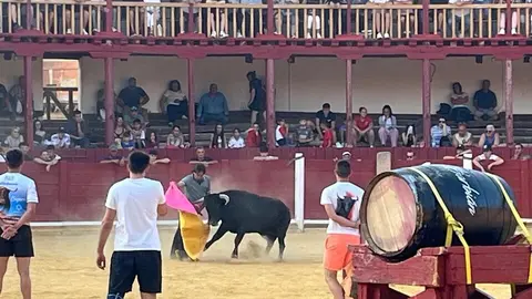 Fuente del Vino Toro _37