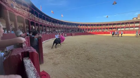 Fuente del Vino Toro _38