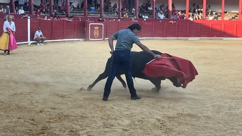 Fuente del Vino Toro _41