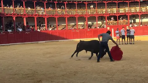 Fuente del Vino Toro _42