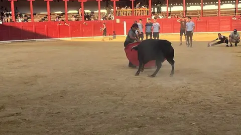 Fuente del Vino Toro _44