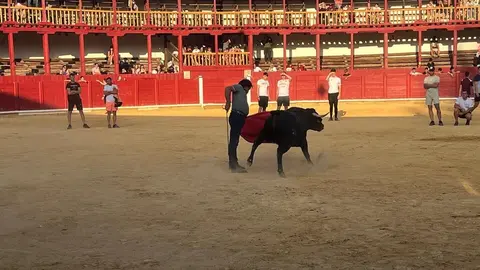 Fuente del Vino Toro _45