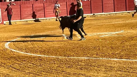 Toro del Cajón solidario: emoción, tradición y plaza llena por una buena causa