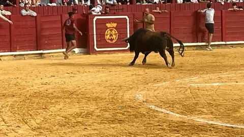 Toro del Cajón solidario: emoción, tradición y plaza llena por una buena causa