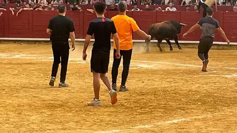 Toro del Cajón solidario: emoción, tradición y plaza llena por una buena causa