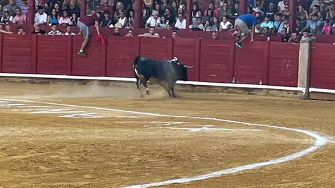 Toro del Cajón solidario: emoción, tradición y plaza llena por una buena causa