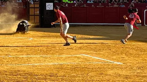 Toro del Cajón solidario: emoción, tradición y plaza llena por una buena causa