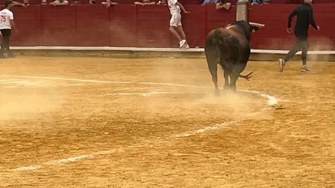 Toro del Cajón solidario: emoción, tradición y plaza llena por una buena causa