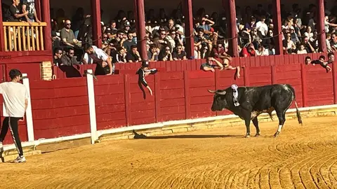 Toro del Cajón solidario: emoción, tradición y plaza llena por una buena causa
