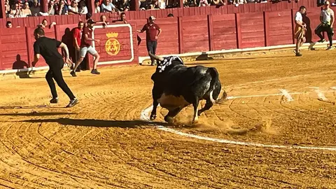 Toro del Cajón solidario: emoción, tradición y plaza llena por una buena causa