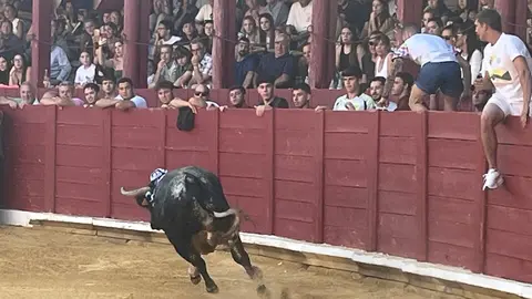 Toro del Cajón solidario: emoción, tradición y plaza llena por una buena causa