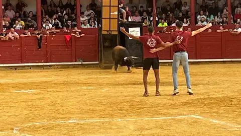 Toro del Cajón solidario: emoción, tradición y plaza llena por una buena causa