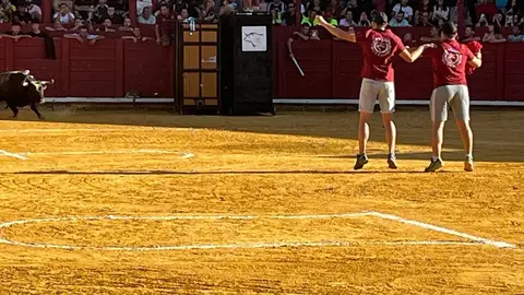 Toro del Cajón solidario: emoción, tradición y plaza llena por una buena causa