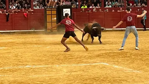 Toro del Cajón solidario: emoción, tradición y plaza llena por una buena causa