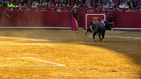 Toro del Cajón solidario: emoción, tradición y plaza llena por una buena causa