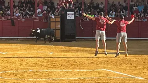 Toro del Cajón solidario: emoción, tradición y plaza llena por una buena causa