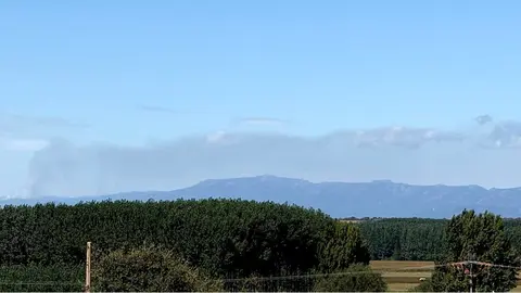 humo sanabria