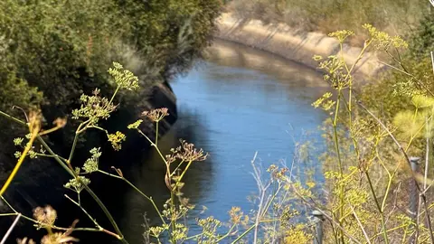 Canal del Tera