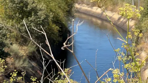 Canal del Tera