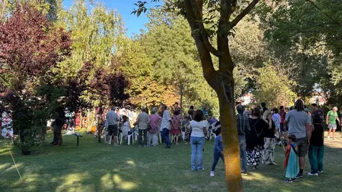 edad media y tardía aceñas cabañales_13