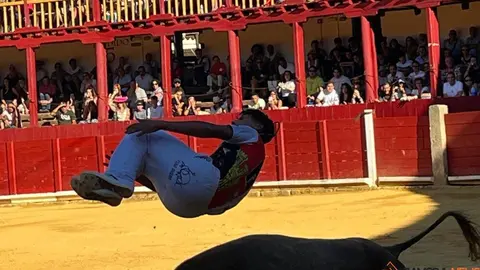 cortes toro san agustín 2025