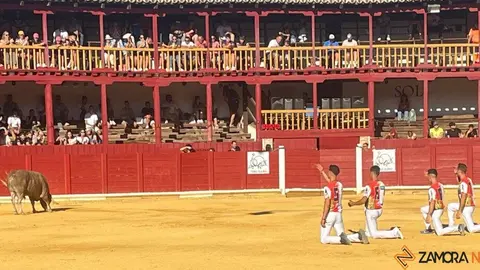 cortes toro san agustín 2025_2