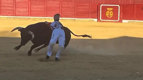 cortes toro san agustín 2025_3