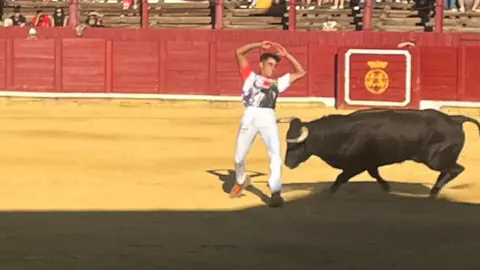 cortes toro san agustín 2025_4