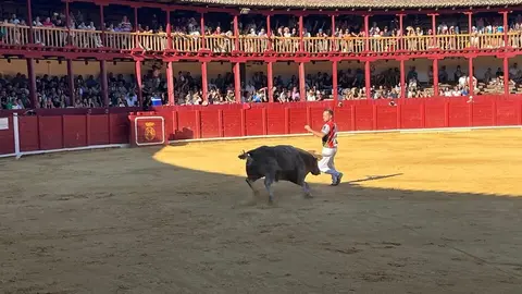 cortes toro san agustín 2025_6