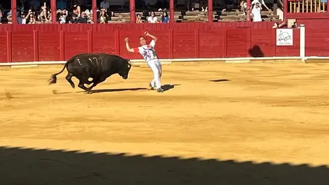 cortes toro san agustín 2025_7