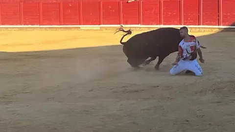 cortes toro san agustín 2025_9