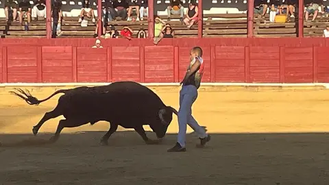 cortes toro san agustín 2025_10