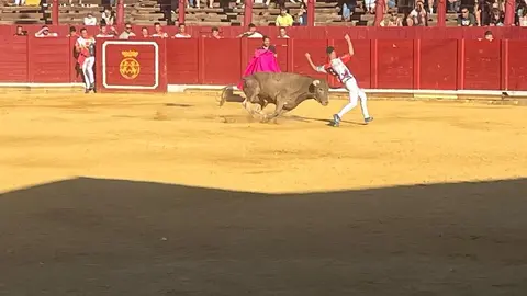 cortes toro san agustín 2025_12