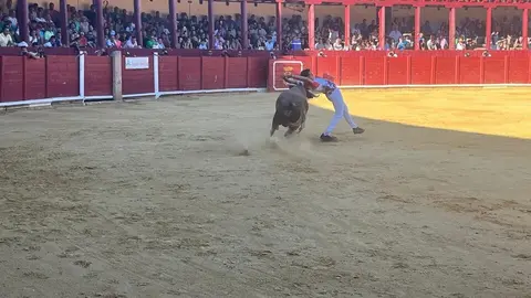 cortes toro san agustín 2025_13