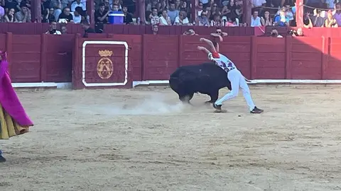 cortes toro san agustín 2025_14