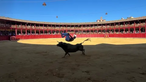 cortes toro san agustín 2025_15