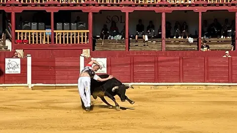 cortes toro san agustín 2025_16
