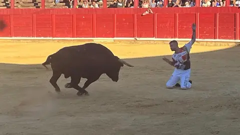 cortes toro san agustín 2025_17