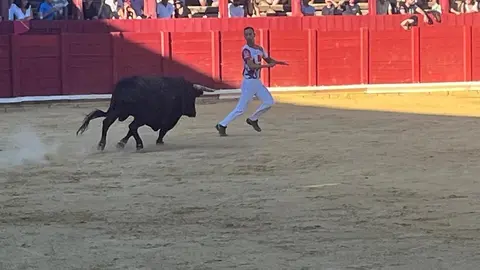 cortes toro san agustín 2025_19